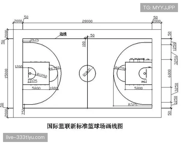 篮球赛场：视频回放判罚规则的细则与判定标准
